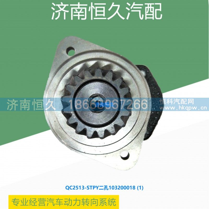 QC25/13-STPY二孔103200018,潍柴WD615齿轮泵,济南恒久汽车配件有限公司