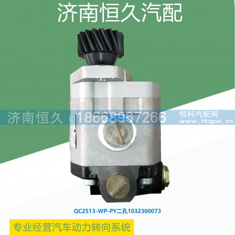 QC25/13-WP-PY二孔1032300073,潍柴WP10齿轮泵,济南恒久汽车配件有限公司