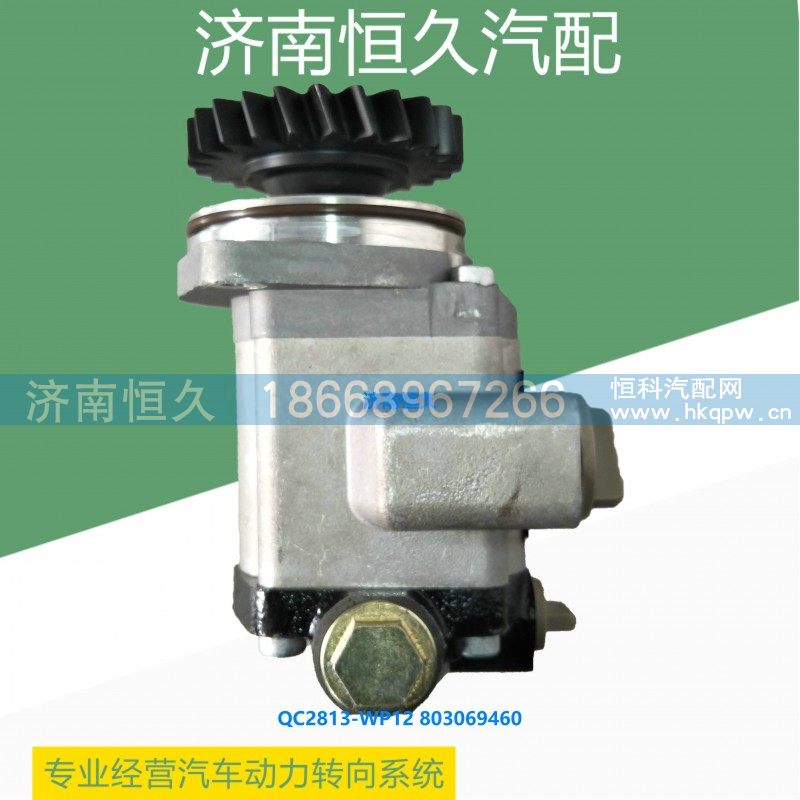 QC28/13-WP12 803069460,齿轮泵,济南恒久汽车配件有限公司