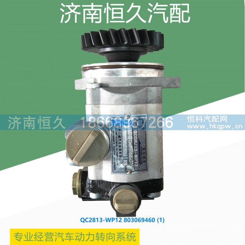 QC28/13-WP12 803069460,齿轮泵,济南恒久汽车配件有限公司