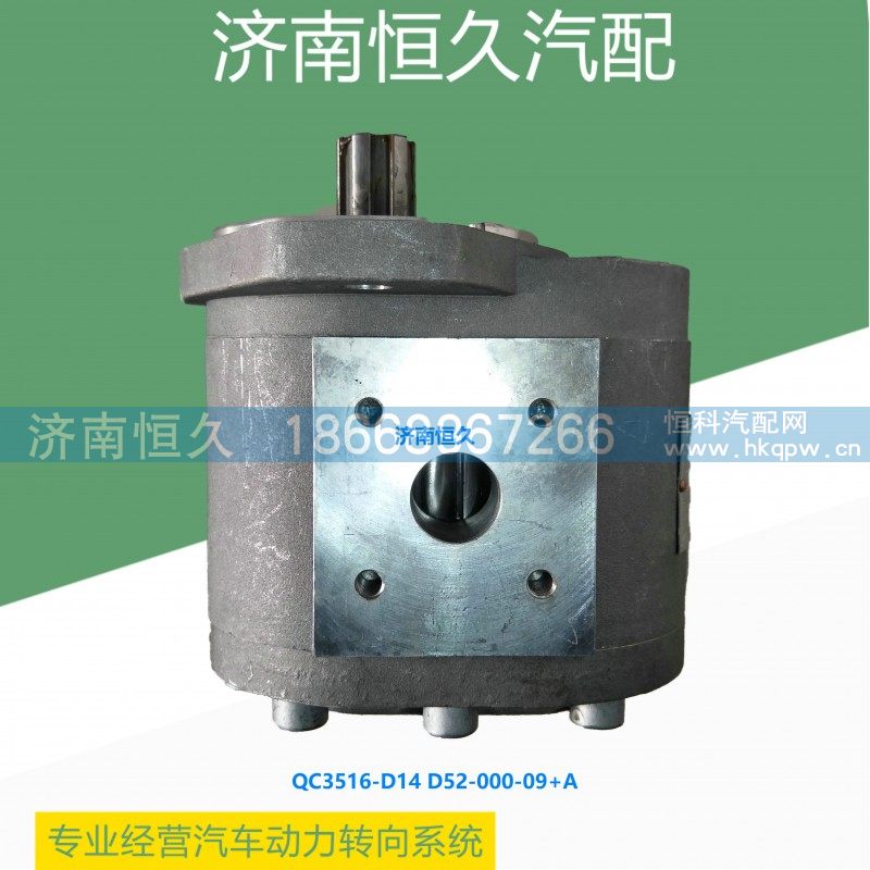 QC35/16-D14 D52-000-09+A,齿轮泵,济南恒久汽车配件有限公司