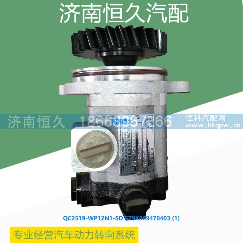 QC25/19-WP12N1-SD SZ9K869470403,转向齿轮泵,济南恒久汽车配件有限公司