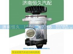QC25/19-WP12N1-SD SZ9K869470403,转向齿轮泵,济南恒久汽车配件有限公司