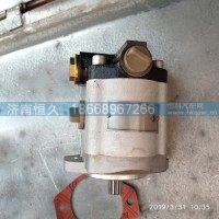 油泵DZ9118130103