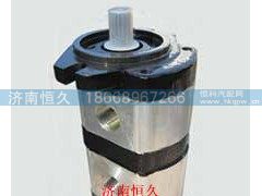 CBJ25-E10/10/03L-S1K齿轮泵,,济南恒久汽车配件有限公司
