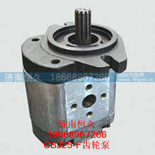 CBJ25-E10/10/03L-S1K齿轮泵,,济南恒久汽车配件有限公司
