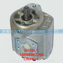 CBJ40-F齿轮泵,CBJ40-F齿轮泵,济南恒久汽车配件有限公司