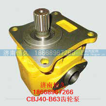 CBJ40-B63齿轮泵,CBJ40-B63齿轮泵,济南恒久汽车配件有限公司