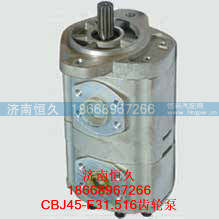 CBJ45-F31.516齿轮泵,CBJ45-F31.516齿轮泵,济南恒久汽车配件有限公司