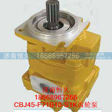 CBJ45-F71B10-S1K齿轮泵,CBJ45-F71B10-S1K齿轮泵,济南恒久汽车配件有限公司