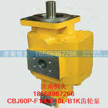 CBJ60P-F140B10L-B1K齿轮泵,CBJ60P-F140B10L-B1K齿轮泵,济南恒久汽车配件有限公司