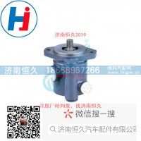 转向叶片泵13024416DZ9100130042