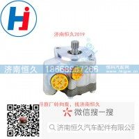 转向叶片泵7686955174