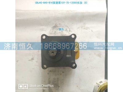 CBJ40-B40-B1K 10Y-75-12000,长治齿轮泵,济南恒久汽车配件有限公司