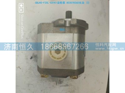 CBJ40-F25L-S31K1,长治齿轮泵,济南恒久汽车配件有限公司