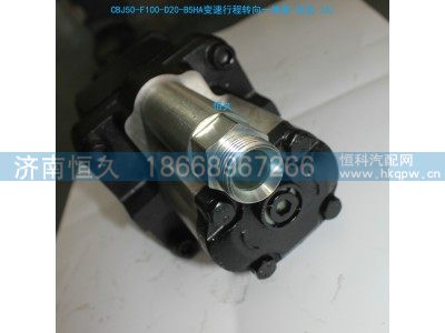 CBJ50-F100-D20-B5HA,长治齿轮泵,济南恒久汽车配件有限公司