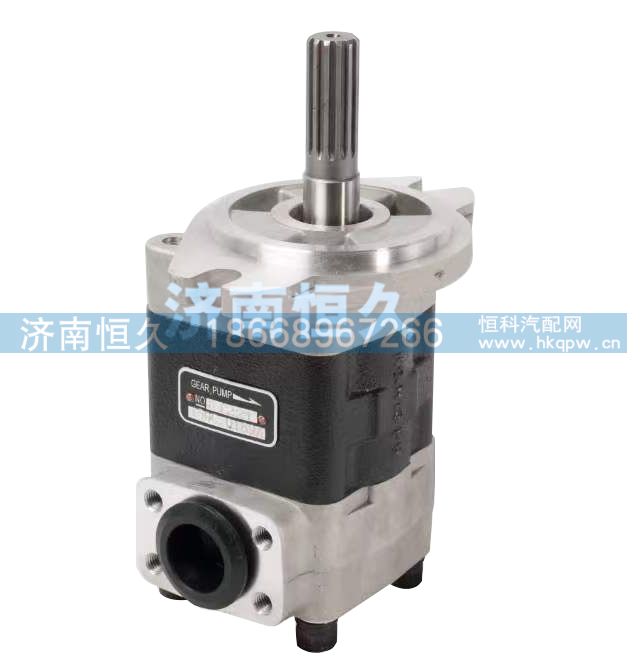 ,叉车齿轮泵,济南恒久汽车配件有限公司