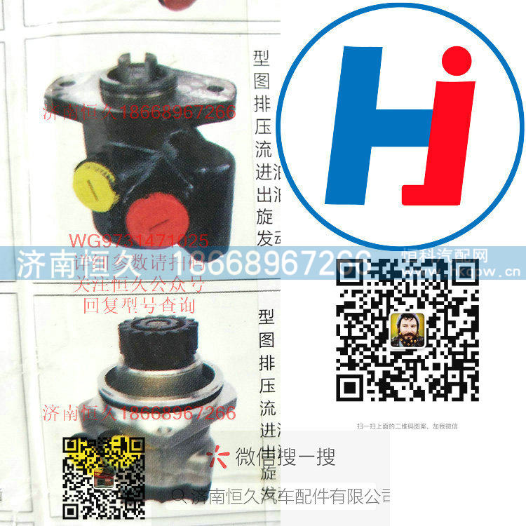 转向助力泵 WG9731471025/WG9731471025