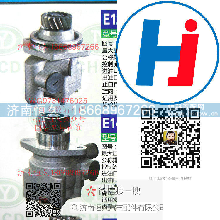 转向助力泵 WG9731476025/WG9731476025
