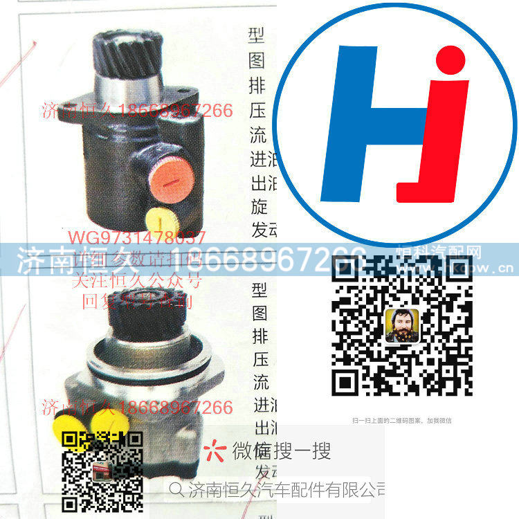 转向助力泵 WG9731478037/WG9731478037