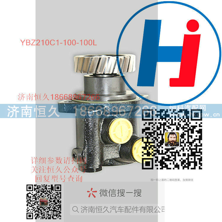 转向助力泵 YBZ210C1-100-100L/YBZ210C1-100-100L