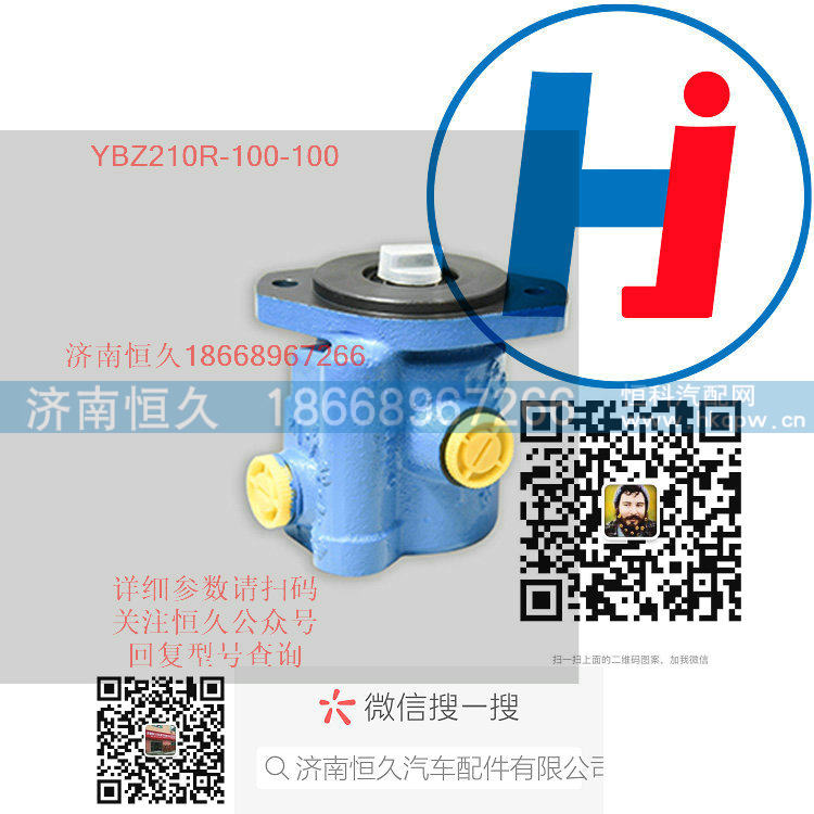 转向助力泵 YBZ210R-100-100/YBZ210R-100-100