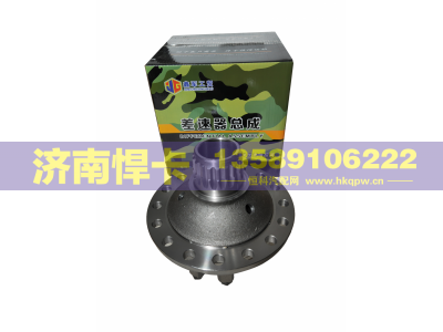 199014320165,STR差速器总成,济南悍卡汽车配件有限公司