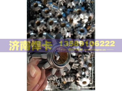 199012320010,STR差速器行星齿轮,济南悍卡汽车配件有限公司