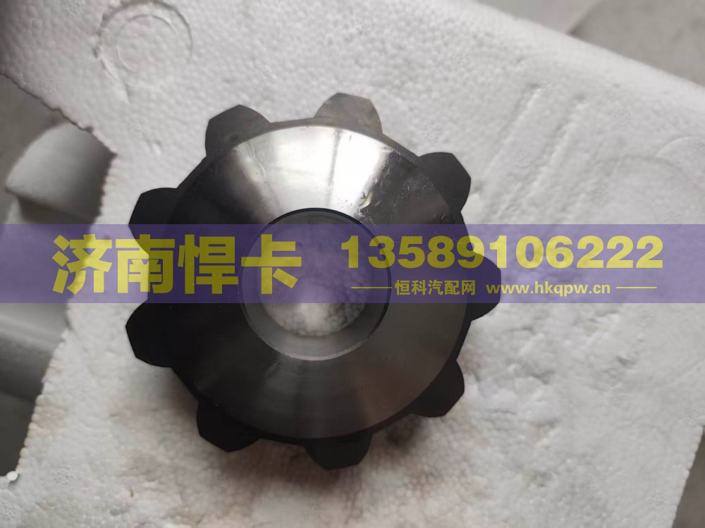 QT485D217-2403056,后桥行星齿,济南悍卡汽车配件有限公司