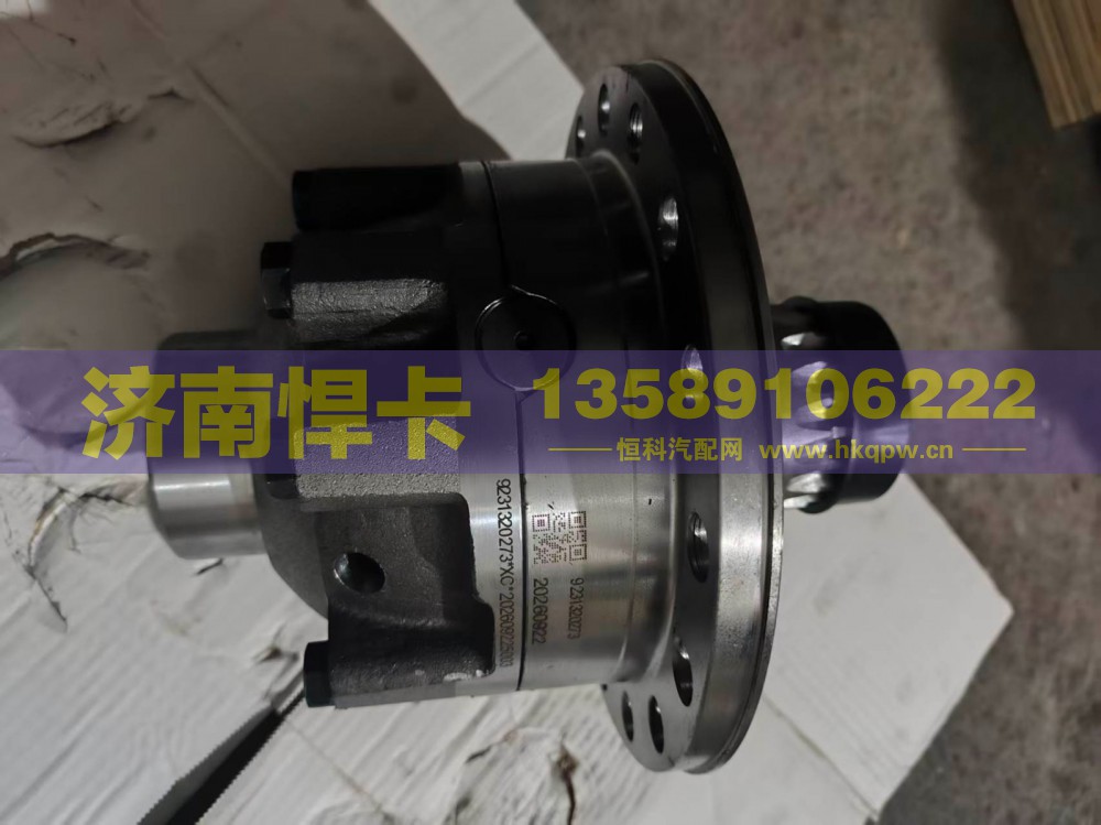 AZ9231320273,差速器总成,济南悍卡汽车配件有限公司