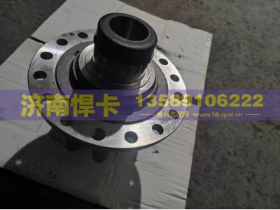 AZ9231320273,差速器总成,济南悍卡汽车配件有限公司