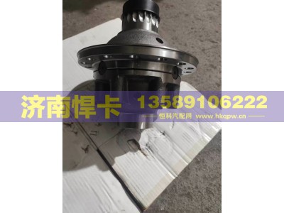 199014320165,差速器总成,济南悍卡汽车配件有限公司