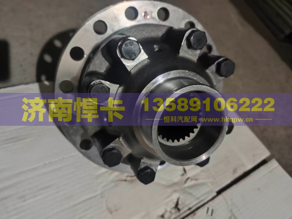 199014320165,差速器总成,济南悍卡汽车配件有限公司