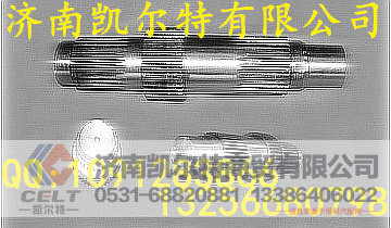 AZ9981320105,输入轴,济南凯尔特商贸有限公司