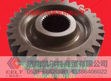 WG9981320107,从动圆柱齿轮,济南凯尔特商贸有限公司