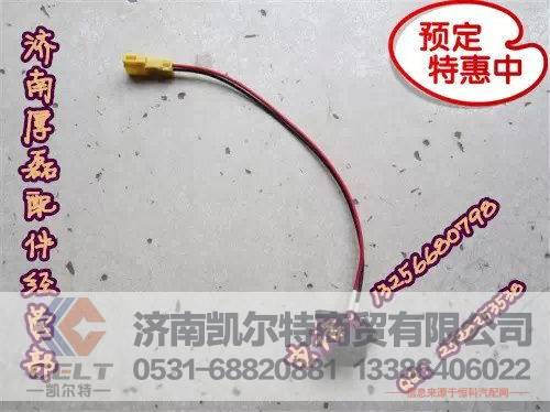 重汽陕汽豪沃金王子08款熄火开关WG9725716001