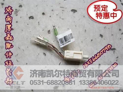 重汽陕汽配件豪沃金王子STRA7翘板开关