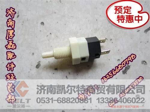 重汽陕汽豪沃金王子STR  门灯开关WG6100720020