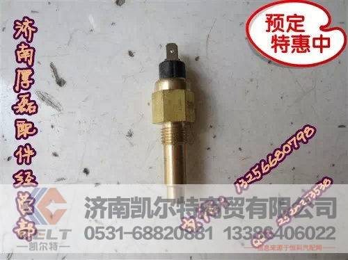 VG614090067J,STRW水温感应塞（大）,济南凯尔特商贸有限公司