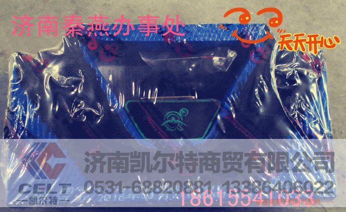 9910059031,发动机后置撑,济南凯尔特商贸有限公司