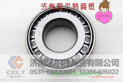 6019-Z轴承重汽豪沃斯太尔金王子