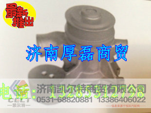 612600061296,水泵,济南凯尔特商贸有限公司