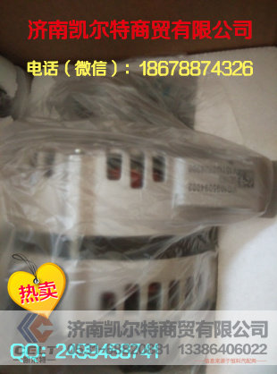 VG1095094002,重汽豪沃 发电机,济南凯尔特商贸有限公司