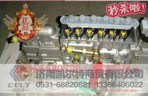 供应VG1092080120重汽豪沃斯太尔发动机喷油泵总成