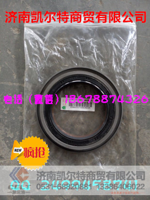 WG9231320001,重汽主减油封总成,济南凯尔特商贸有限公司