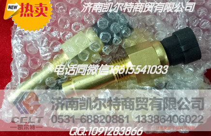 供应豪沃斯太尔 CELT 重汽配件 陕汽水温传感器
