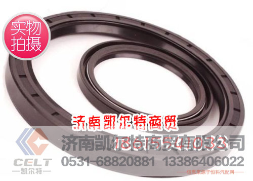 STR,一体油封,济南凯尔特商贸有限公司