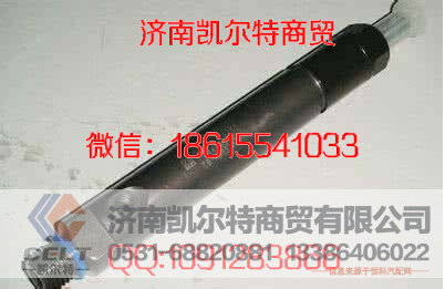 VG1560080305,喷油器,济南凯尔特商贸有限公司