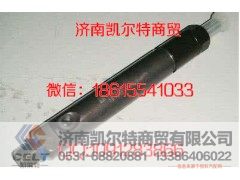 VG1560080305,喷油器,济南凯尔特商贸有限公司