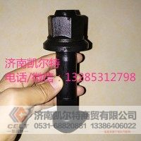 重汽潍柴配件 亲人后轮螺丝
